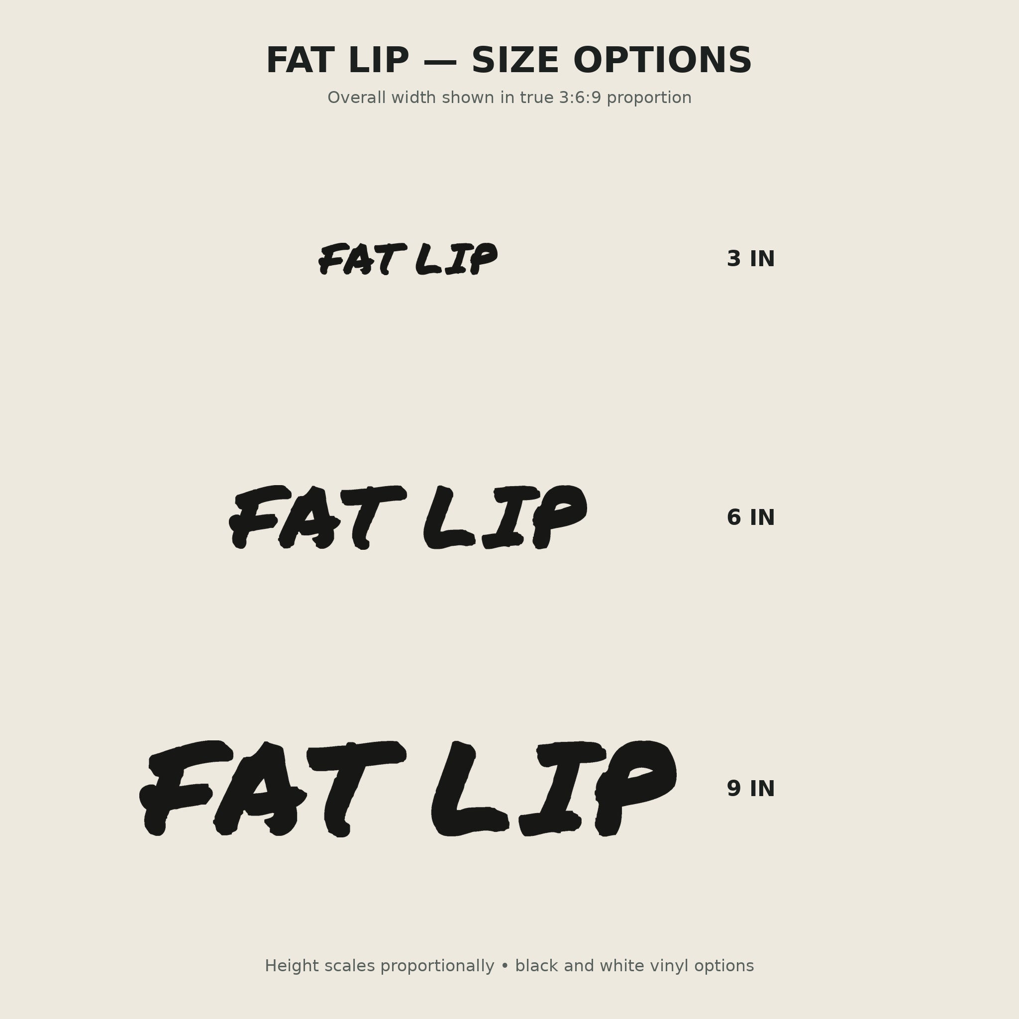 Fat Lip Trail Relics Name-Only Cut Vinyl Decal — secondary / placement view