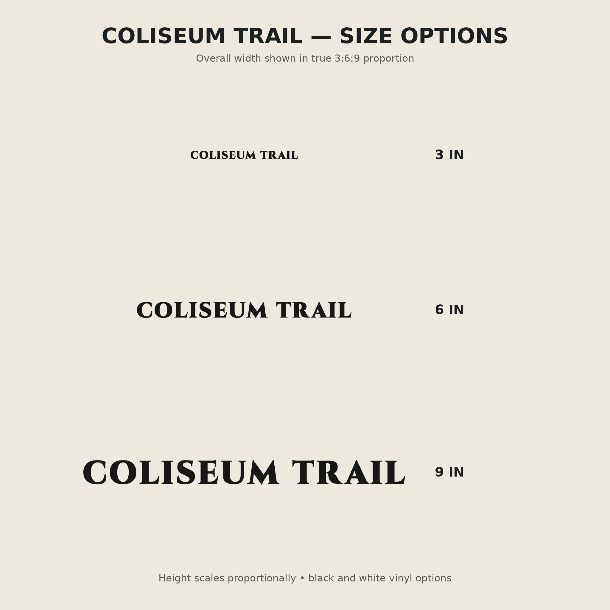 Coliseum Trail Trail Relics Name-Only Cut Vinyl Decal — secondary / placement view